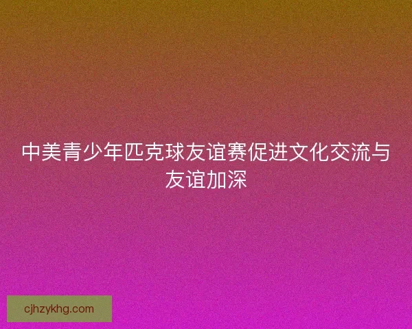 中美青少年匹克球友谊赛促进文化交流与友谊加深 中美青少年匹克球友谊赛促进文化交流与友谊加深