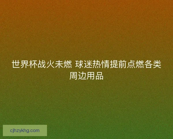 世界杯战火未燃 球迷热情提前点燃各类周边用品