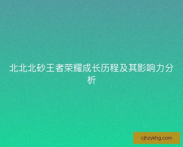 北北北砂王者荣耀成长历程及其影响力分析